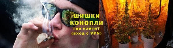 PSILOCYBIN Корсаков
