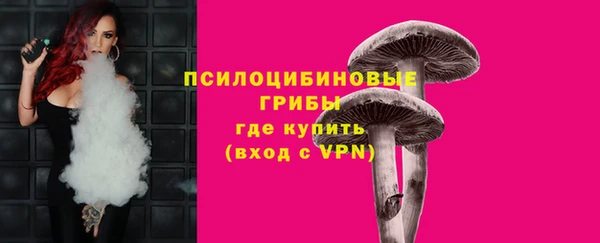 PSILOCYBIN Корсаков