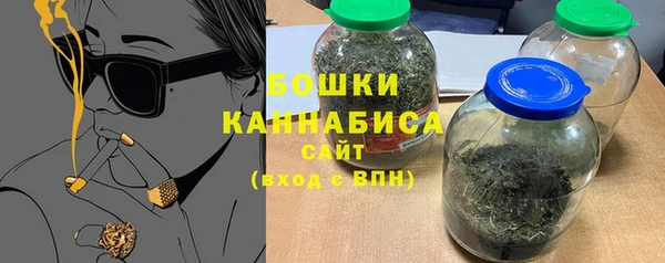 PSILOCYBIN Корсаков