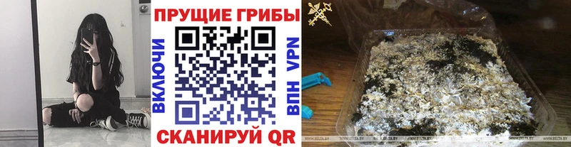 Купить где  Петров Вал  Галлюциногенные грибы мицелий 